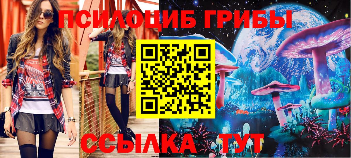 Псилоцибиновые грибы GOLDEN TEACHER Заводоуковск