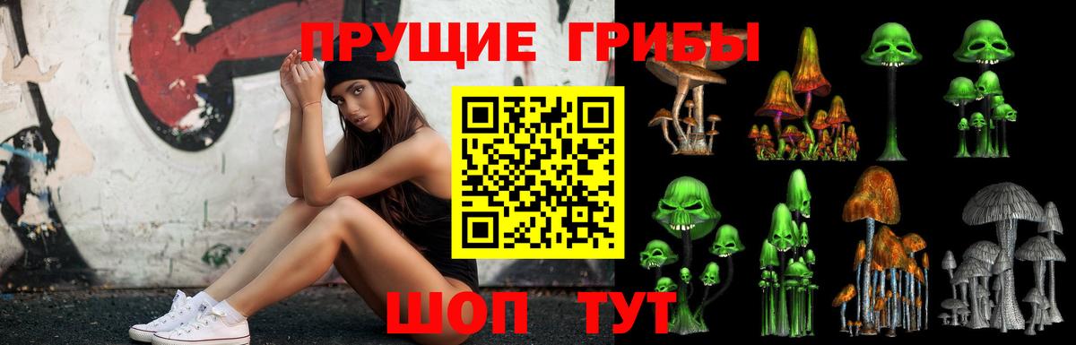 Псилоцибиновые грибы мухоморы  Псилоцибиновые грибы мицелий  Заводоуковск  Вход с VPN 