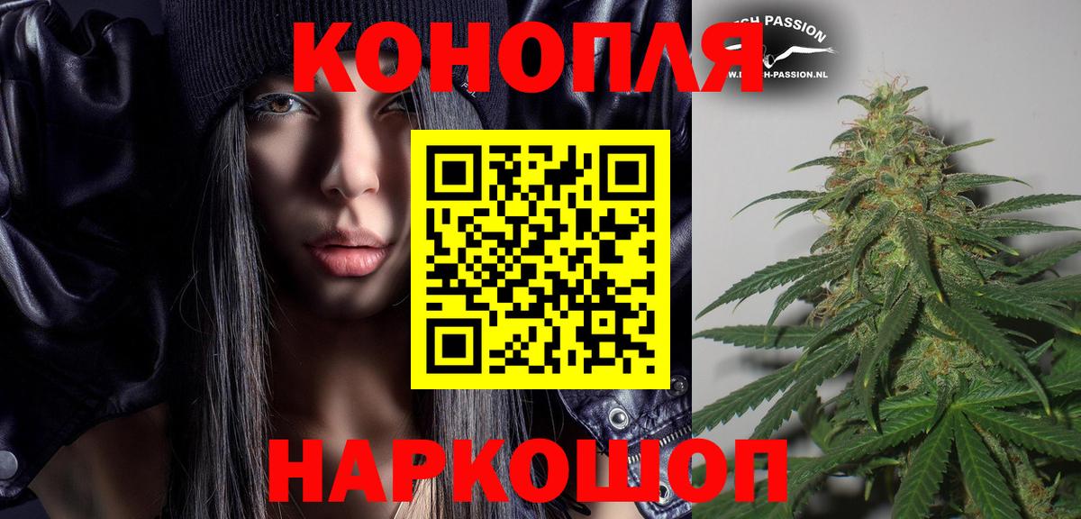Шишки марихуана тримм  Вход с VPN  Канабис MAZAR  Шишки марихуана Bruce Banner  Бошки Шишки Bruce Banner  Заводоуковск 